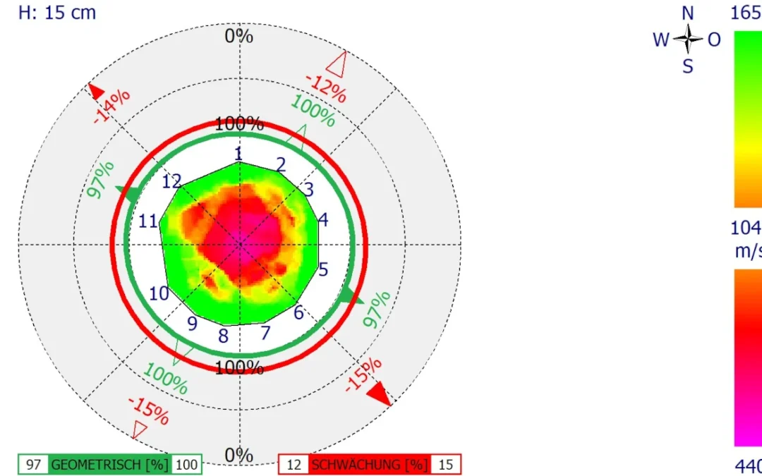 Verkehrssicherheit Baum: Untersuchung und Fällung einer Eiche
